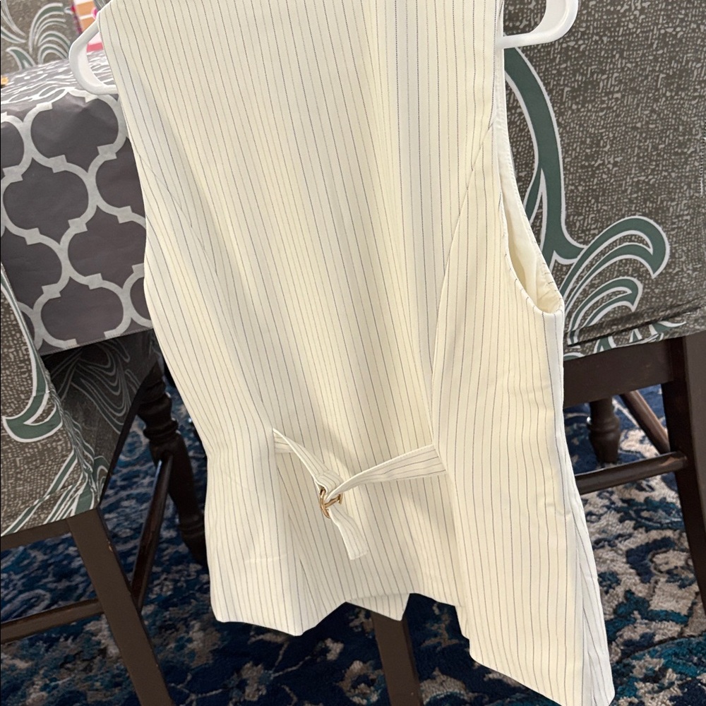 Rachel Zoe Ivory Pinstripe Buttoned Vest - Picture 5 of 5